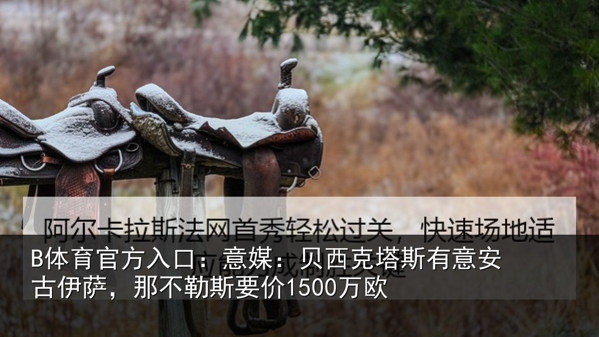 B体育官方入口：意媒相关情况古伊相关情况欧