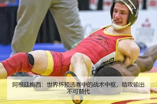 a-gen-ting-mei-xi-shi-jie-bei-yu-xuan-sai-zhong-de-zhan-shu-zhong-shu-zhu-gong-shu-chu-bu-ke-ti-dai-2-542.jpg