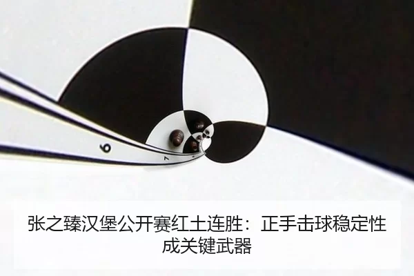 张之臻汉堡公开赛红土连胜：正手击球稳定性成关键武器