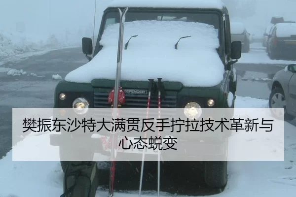 樊振东沙特大满贯反手拧拉技术革新与心态蜕变