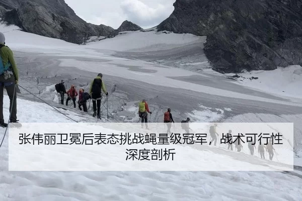 zhang-wei-li-wei-mian-hou-biao-tai-tiao-zhan-ying-liang-ji-guan-jun-zhan-shu-ke-xing-xing-shen-du-pou-xi-2-161.jpg