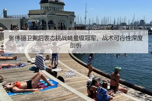 张伟丽卫冕后表态挑战蝇量级冠军，战术可行性深度剖析