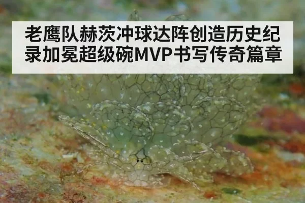 老鹰队赫茨冲球达阵创造历史纪录加冕超级碗MVP书写传奇篇章